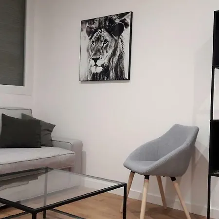 Palais De Justice Apartment Toulouse